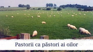 Pastorii ca pastori ai oilor