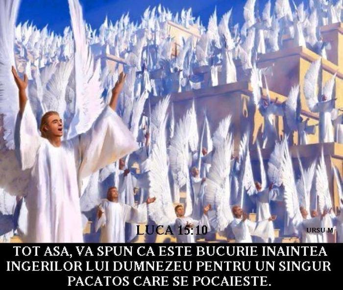 15094910_1793243354268488_1884791189907629034_n