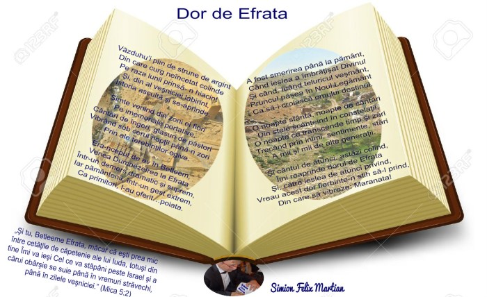 pizap-com14813913473362-a