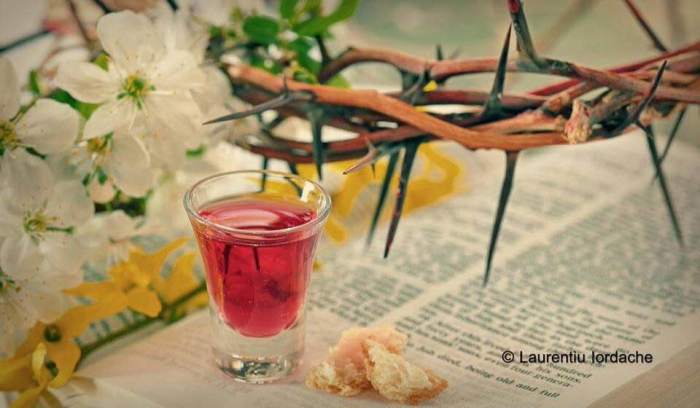 28166772_1696852913735717_6838826950037349897_n